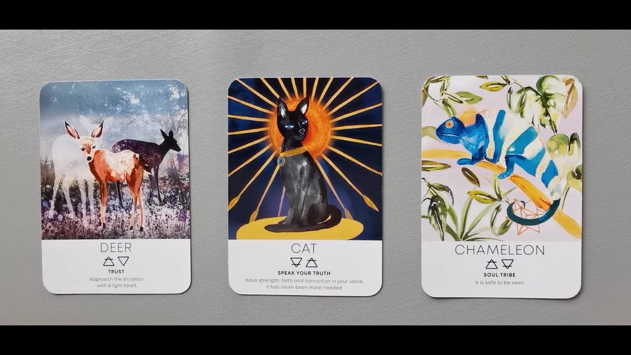 No momento, você está visualizando tarot: chọn tụ bài: họ cảm thấy thế nào khi bạn im lặng, không liên lạc?