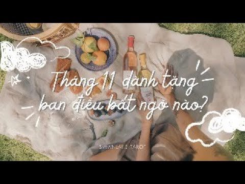 No momento, você está visualizando THÁNG 11 DÀNH TẶNG BẠN ĐIỀU BẤT NGỜ NÀO?|| SWANLAKE TAROT