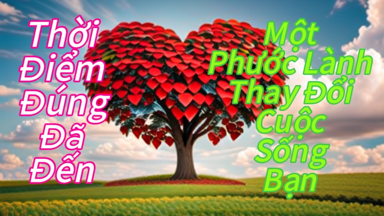 No momento, você está visualizando Thời Điểm Đúng Đã Đến Và Một Phước Lành Làm Thay Đổi Cuộc Sống Bạn