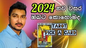 Leia mais sobre o artigo 2024 ගැන ටැරොට් වලින් හැමදේම මෙන්න.. #tarot #tarotreading  #2024 #future