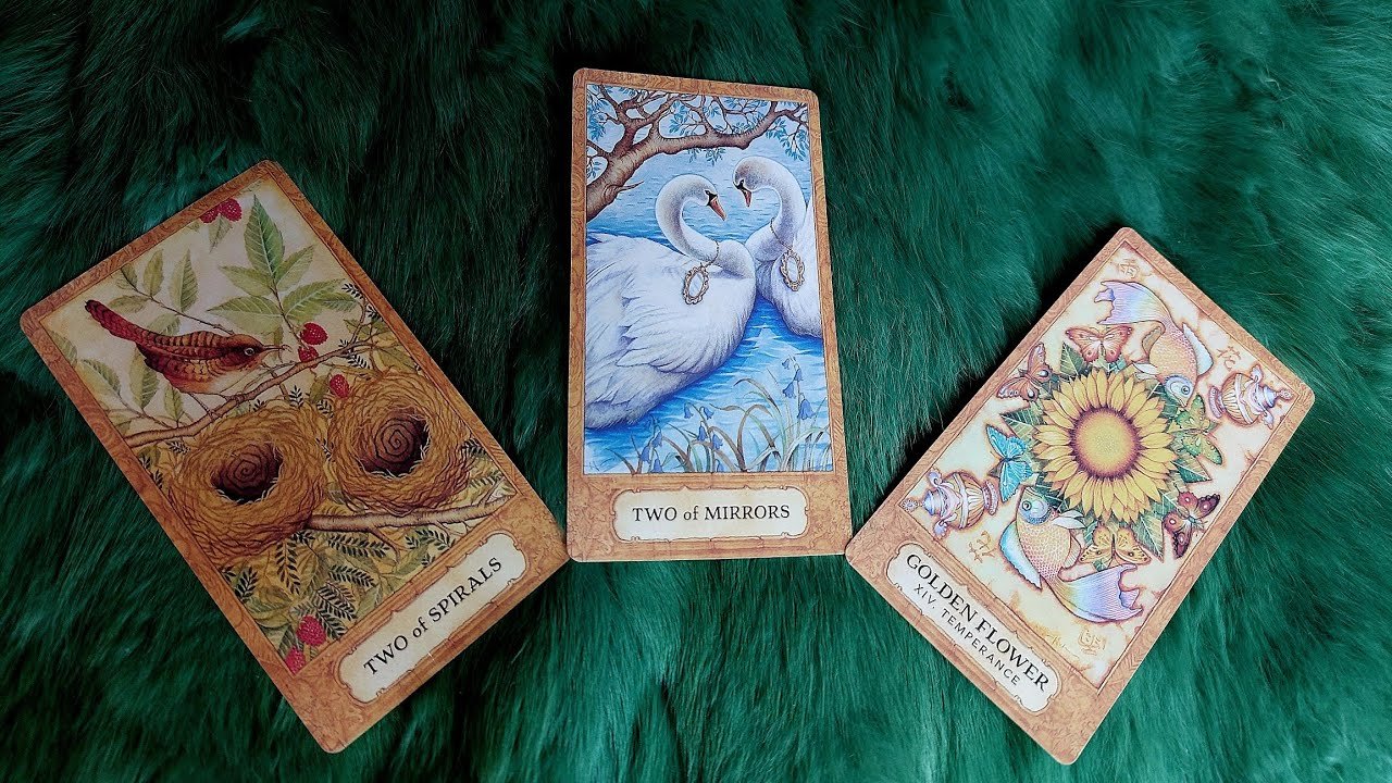 No momento, você está visualizando 3 ĐIỀU BẠN SẼ MÃN NGUYỆN NHẤT TRONG THÁNG 1/2024 LÀ GÌ  ? @EvelynTarot