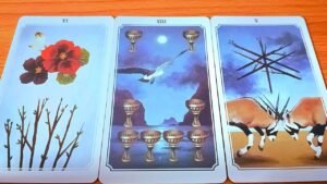 Leia mais sobre o artigo AI ĐÓ HÌNH NHƯ CÓ ĐIỀU GÌ ĐÓ MUỐN NÓI VỚI BẠN / TAROT READING