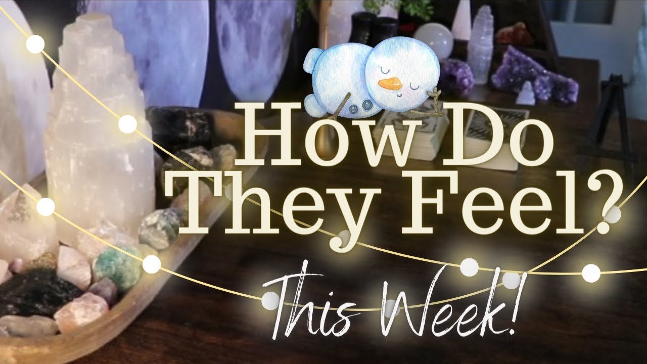 No momento, você está visualizando ALL SIGNS: Their FEELINGS For YOU This WEEK!!