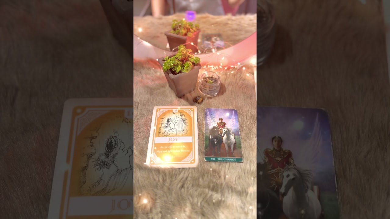 No momento, você está visualizando Điều bạn cần làm tiếp theo là gì? #tarot #minmintarot #oracle