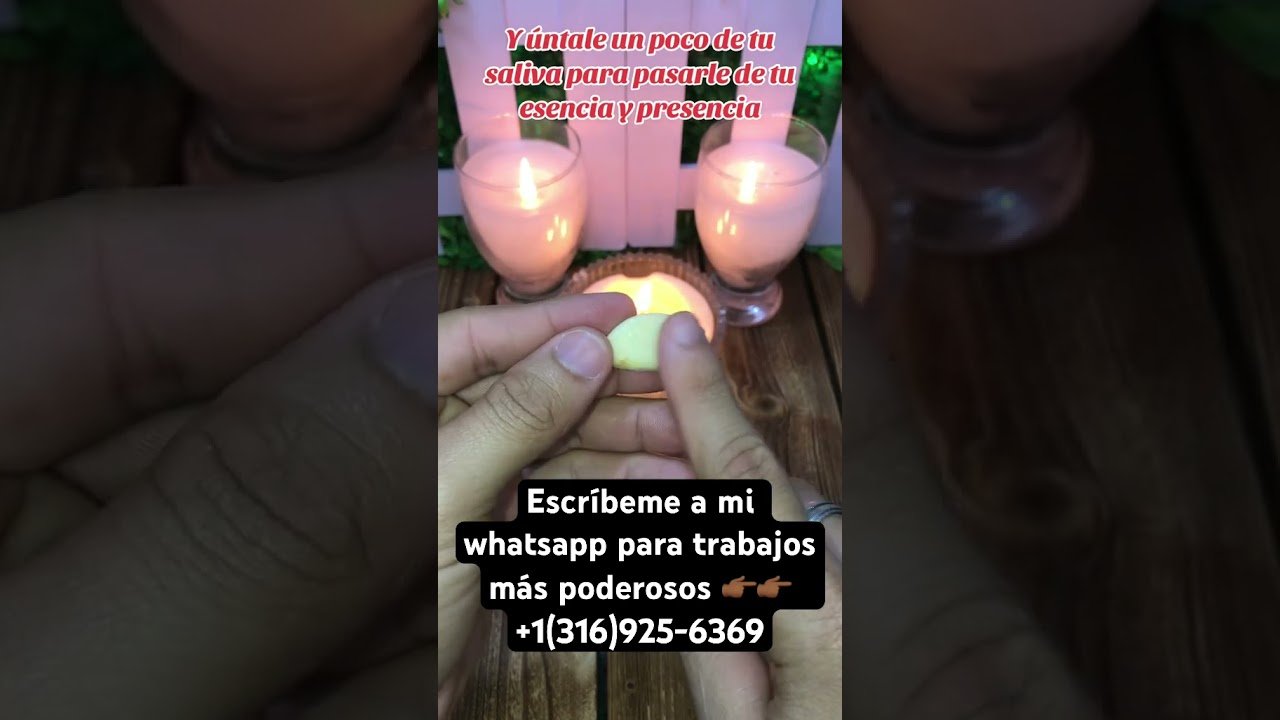 No momento, você está visualizando MENSJAE inportante #españa #tarot #estadounidos #cancertarot #amor #estadosunidos #tarotcardreading