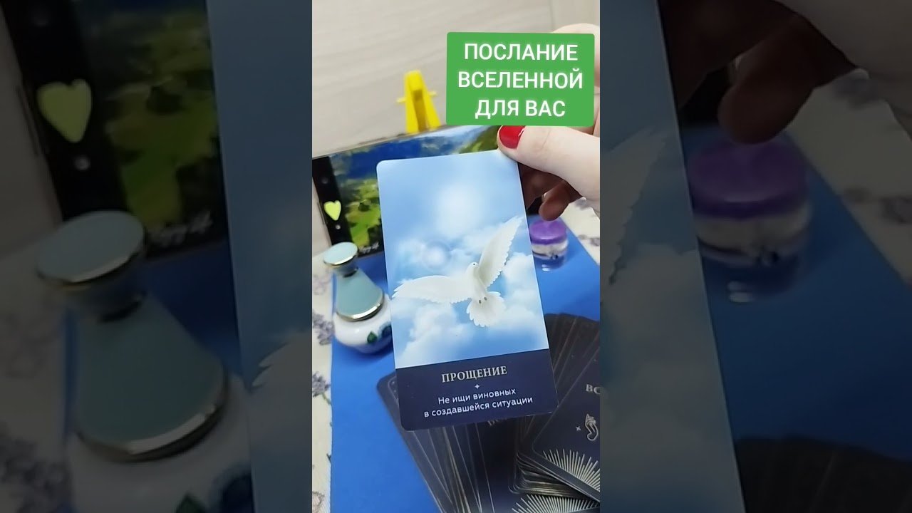 No momento, você está visualizando #таро#расклад#любовь#love#dream#tarot#online#tarot#music#shorts#angel#ангел#tarotreading#meditation
