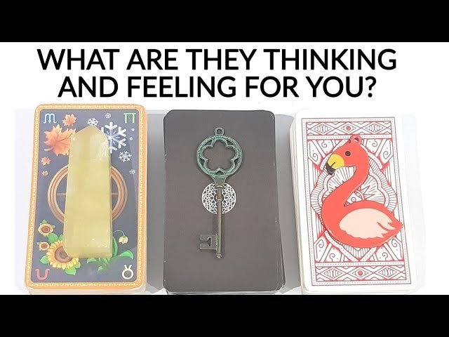 No momento, você está visualizando PICK 💗 WHAT ARE THEY THINKING & FEELING FOR YOU• THEIR NEXT MOVE & FUTURE 😍 *TIMELESS