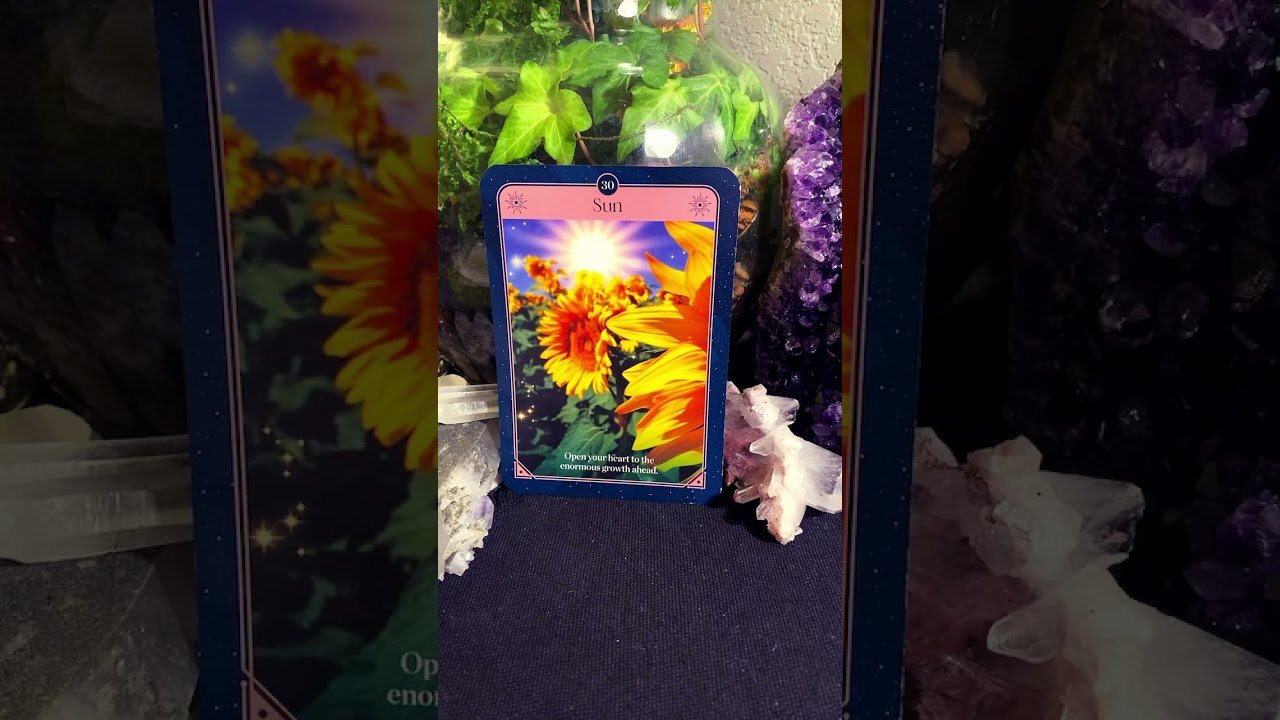 No momento, você está visualizando 🌻Positive Journey☀️ #spiritualguidance #tarot #positvemessage