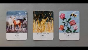 Leia mais sobre o artigo tarot: chọn tụ bài: họ nghĩ sao về ngoại hình & tính cách của bạn?