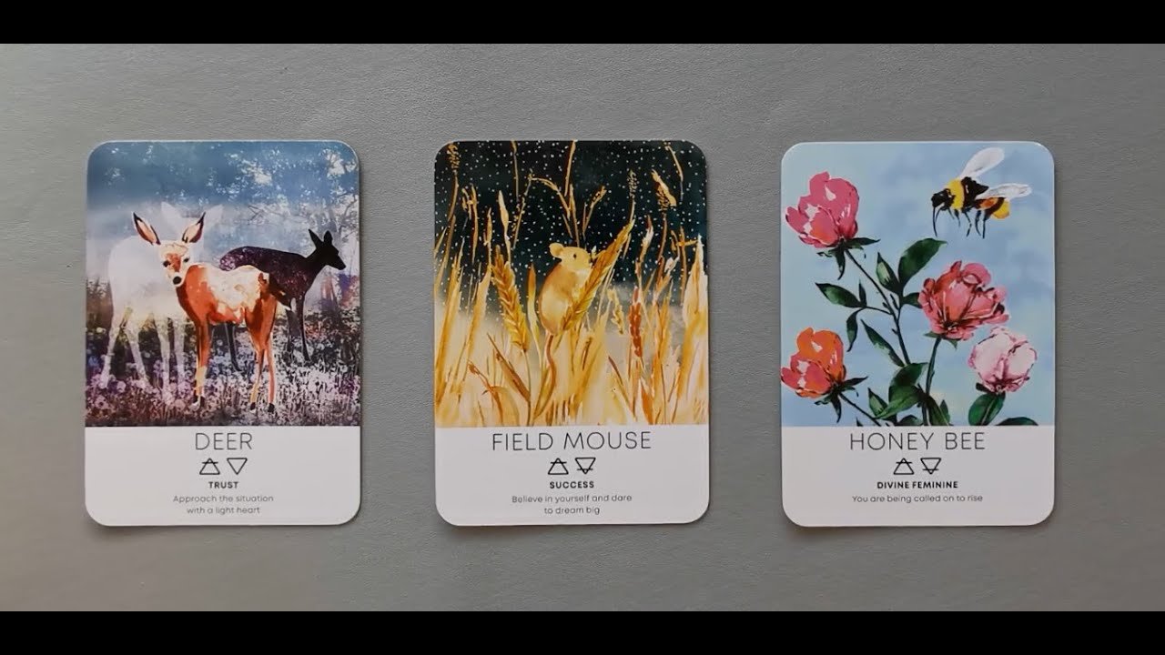 No momento, você está visualizando tarot: chọn tụ bài: họ nghĩ sao về ngoại hình & tính cách của bạn?