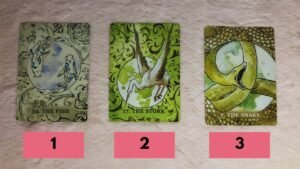 Leia mais sobre o artigo [Timeless] ĐIỂM GÌ KHIẾN BẠN ĐẶC BIỆT THU HÚT @ChubbyTarot  TAROT READING