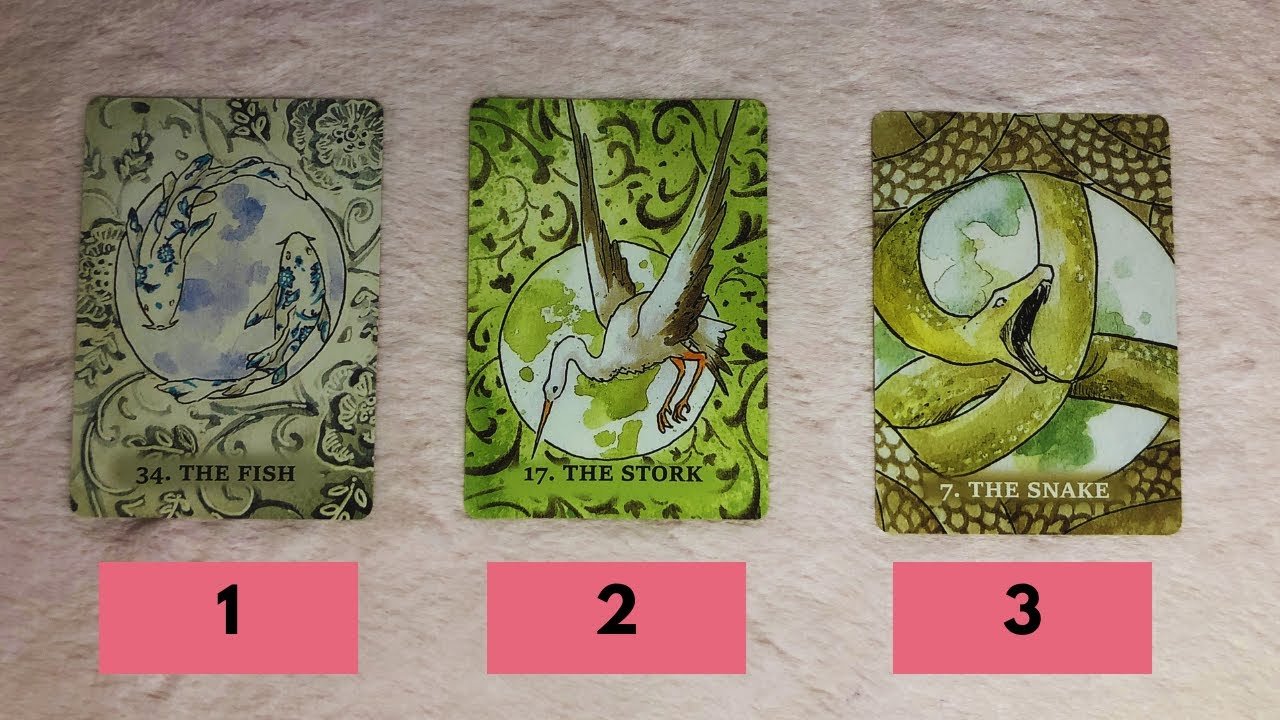 No momento, você está visualizando [Timeless] ĐIỂM GÌ KHIẾN BẠN ĐẶC BIỆT THU HÚT @ChubbyTarot  TAROT READING