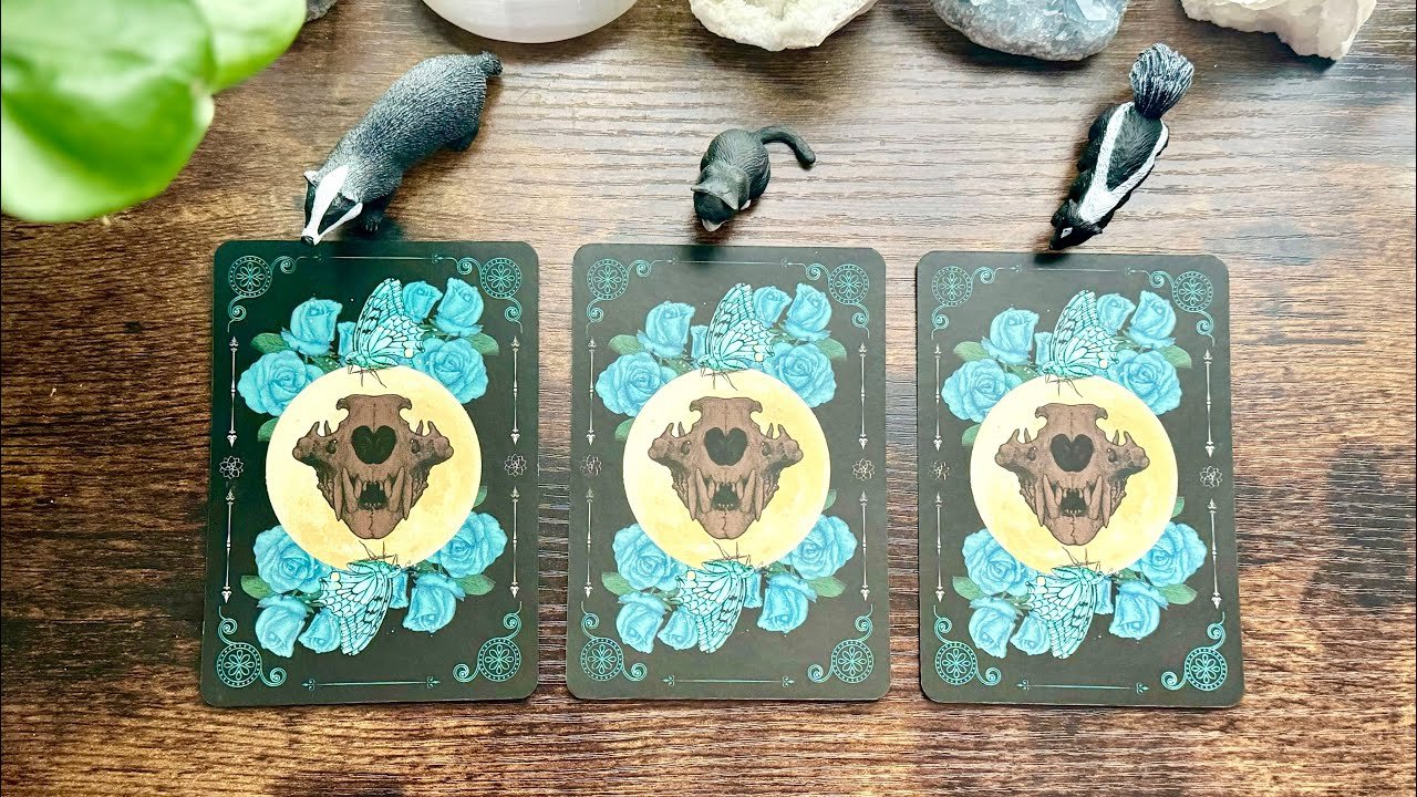 No momento, você está visualizando What do you NEED to hear about this connection? 🔮🦢🌏🧐🤯💌📱Pick a Card Reading 📱💌🤯🧐🌏🦢🔮