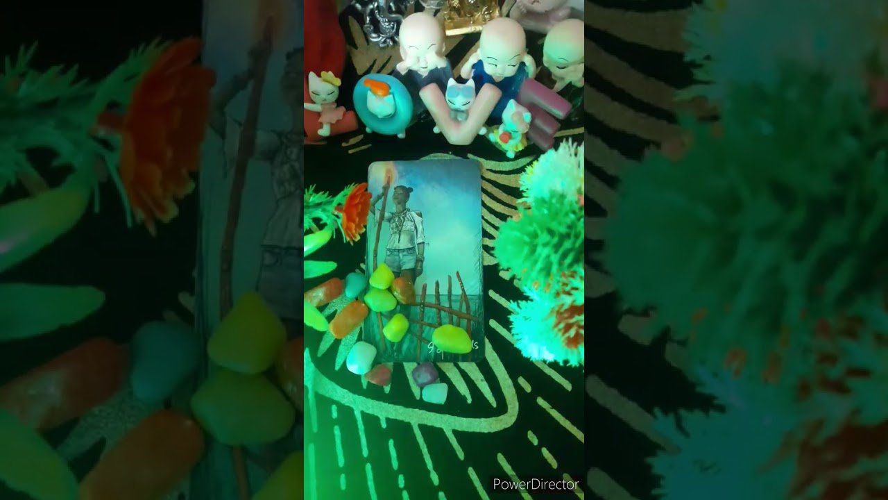 No momento, você está visualizando അവർ ഇപ്പോൾ ഒരുപാട് വിഷമിക്കുന്നുണ്ട്…🧿😪🤔🧿/THEIR FEELINGS Tarot card reading no 🤳 #shorts 🧿👼🧚‍♀️🧿