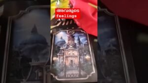 Leia mais sobre o artigo അവർ നിങ്ങളെ എത്രമാത്രമാണ് ഇഷ്ടപ്പെടുന്നത്? 🧿🤔👼🧿/THEIR FEELINGS no 🤳 tarot card reading 🧿#shorts 🧿👼🧿