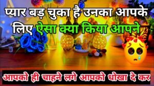 Leia mais sobre o artigo 💯📱 Current feelings of your partner true feelings|No Contact  tarot card reading Hindi all sign