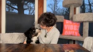 Leia mais sobre o artigo ALL SIGNS – CURRENT ENERGIES CHECK IN,No Clarification (Weekend JANUARY 5TH – 7TH)