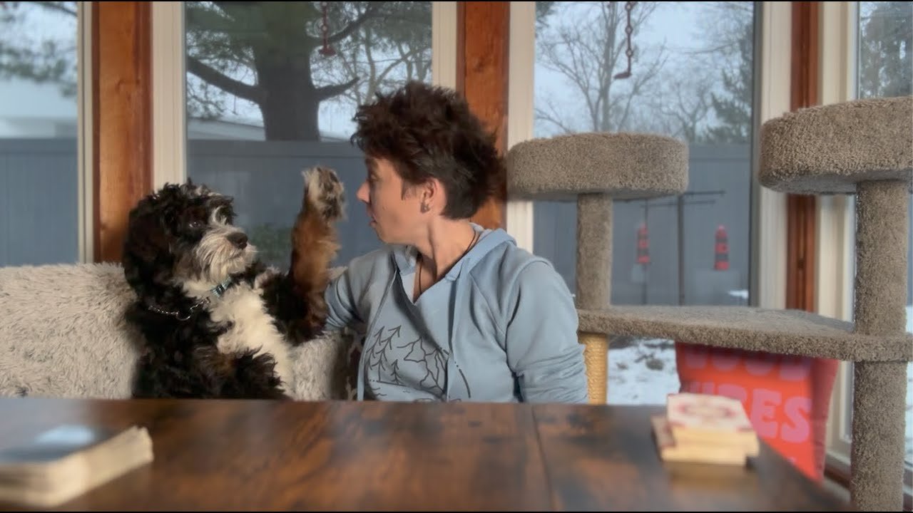 No momento, você está visualizando ALL SIGNS – CURRENT ENERGIES CHECK IN,No Clarification (Weekend JANUARY 26TH – 28TH)