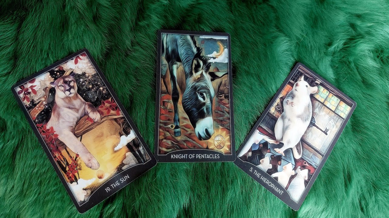 No momento, você está visualizando CON TIM BẠN SẮP VUI TRỞ LẠI VÌ ĐIỀU GÌ?  @EvelynTarot