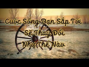 Leia mais sobre o artigo 🪷🌟🌻Cuộc Sống Bạn Sắp Tới Sẽ Như Thế Nào | chọn tụ bài Tarot