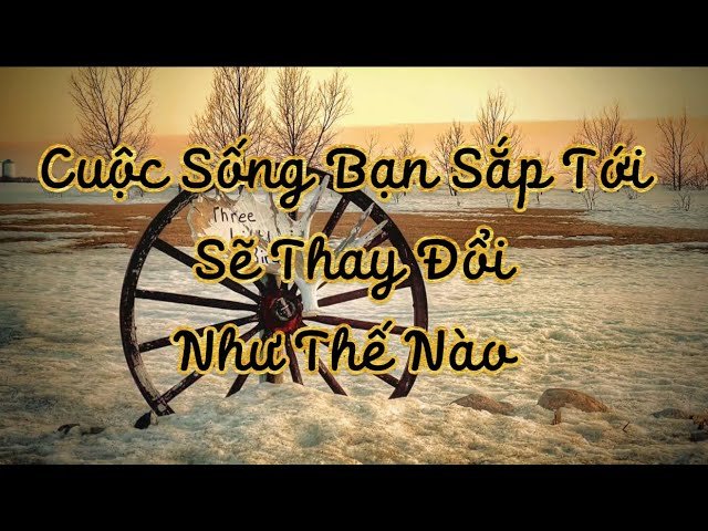 No momento, você está visualizando 🪷🌟🌻Cuộc Sống Bạn Sắp Tới Sẽ Như Thế Nào | chọn tụ bài Tarot