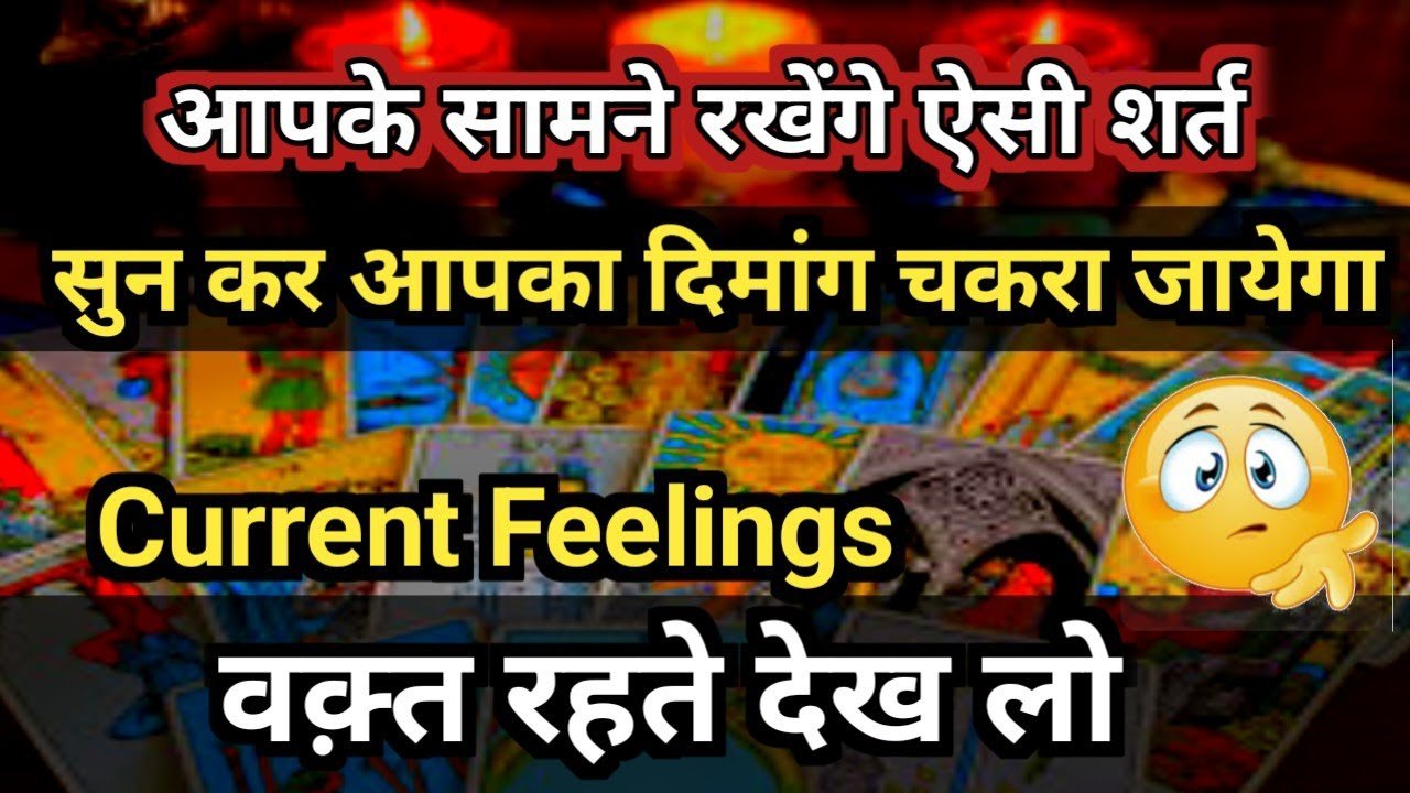 No momento, você está visualizando Current Feelings Tarot Hindi💘Timeless Reading🌺Tarot 🥰Love Reading🌞Next Action🎯Today Tarot Reading