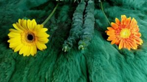 Leia mais sobre o artigo “ĐIỀU ƯỚC LỚN LAO 2024” NÀO CỦA BẠN SẼ TRỞ THÀNH SỰ THẬT? @EvelynTarot