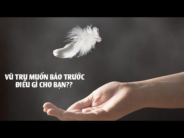 No momento, você está visualizando | Emily Tarot Reader|🪶 VŨ TRỤ MUỐN BÁO TRƯỚC ĐIỀU GÌ CHO BẠN??