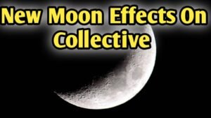 Leia mais sobre o artigo New Moon 🌙 Energy For Collectives 💚❤ Current Feelings Next Action 😍 Timeless Tarot 🌈