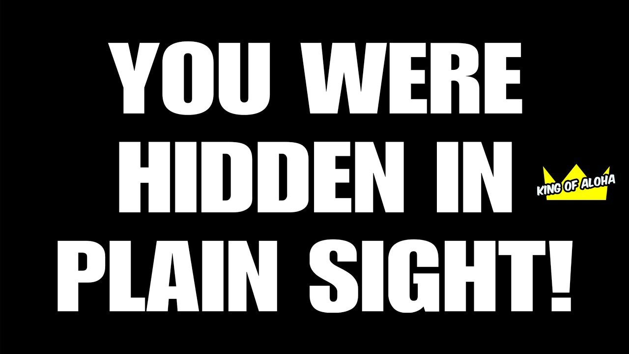 No momento, você está visualizando You Were Hidden In Plain Sight So That No One or Nothing Could Stop UR FLAWLESS VICTORY!