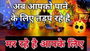 Leia mais sobre o artigo 💯📱 Next few hours Current feelings of your partner |No Contact  tarot card reading Hindi all sign