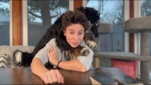 Leia mais sobre o artigo ALL SIGNS – CURRENT ENERGIES CHECK IN,No Clarification (Weekend FEBRUARY 2ND – 4TH)