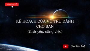 Leia mais sobre o artigo CHỌN 2 TỤ BÀI: KẾ HOẠCH CỦA VŨ TRỤ DÀNH CHO BẠN (tình yêu, công việc)