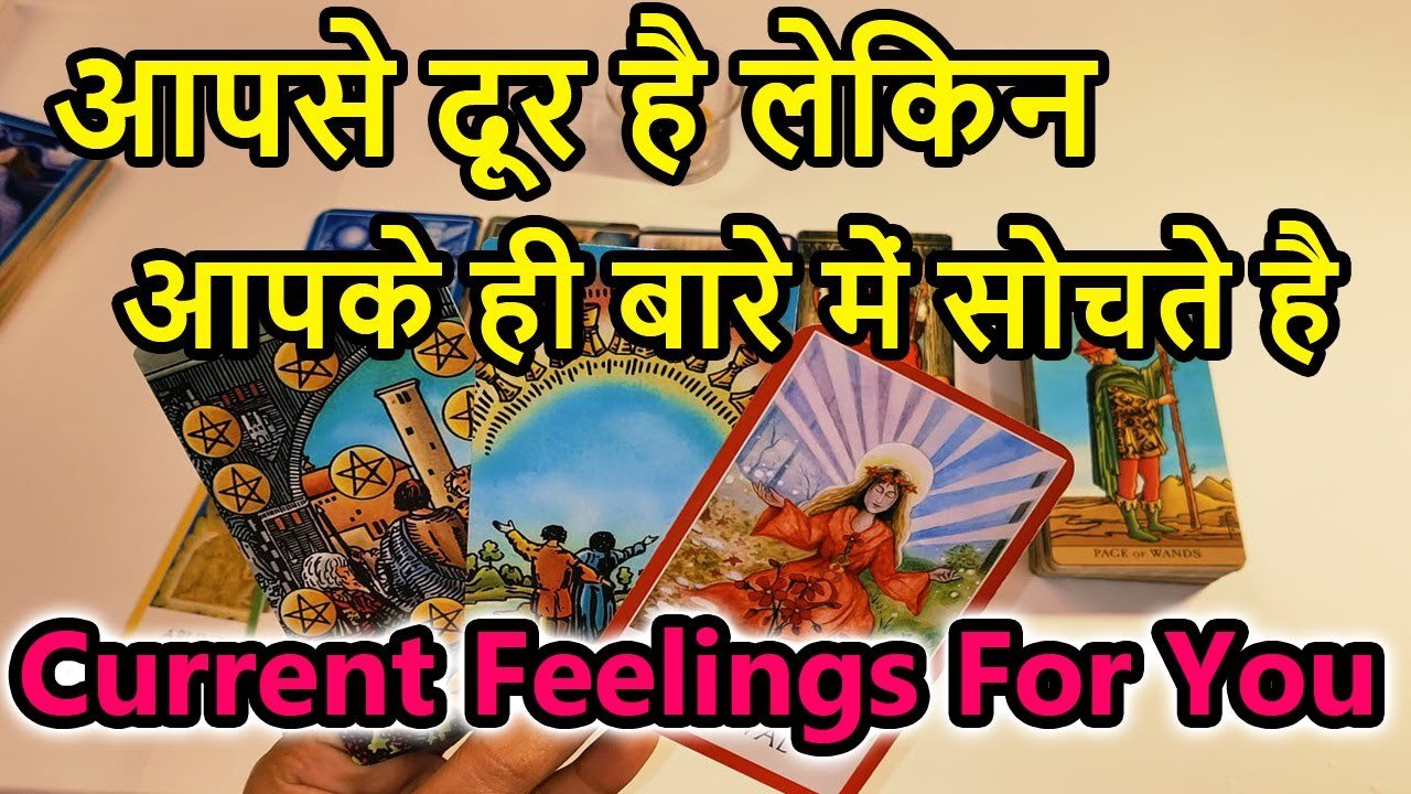 No momento, você está visualizando 💯📲Current Feeling💘Collective Tarot Reading🥰Love Reading🌞Magical tarot🎯Today Tarot Reading💘