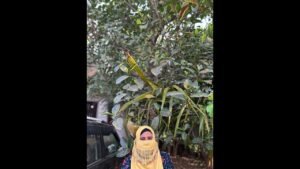 Leia mais sobre o artigo #islamiclovesongs #tarot #trending #malayalamislamicsong