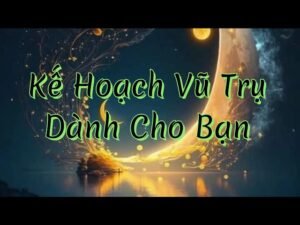 Leia mais sobre o artigo ✨⚡️💫Kế Hoạch Vũ Trụ Dành Cho Bạn | chọn tụ bài Tarot