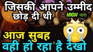 Leia mais sobre o artigo MORNING CURRENT FEELINGS TAROT HINDI- UNKI SUBHA SE AB TAK KI FEELINGS TAROT CARD READING TODAY 222