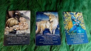 Leia mais sobre o artigo NGÀY 30 TẾT 2024 CỦA BẠN (9/2/2024) SẼ NHƯ THẾ NÀO? @EvelynTarot