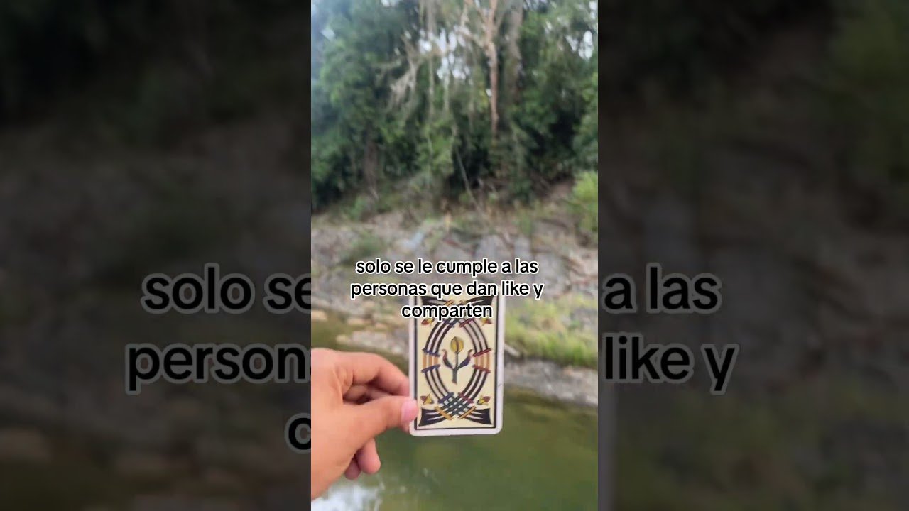 No momento, você está visualizando #parati #tarot #tiradas #lecturas #amor #tiradadecartas #111 #tarotreading #estadosunidos