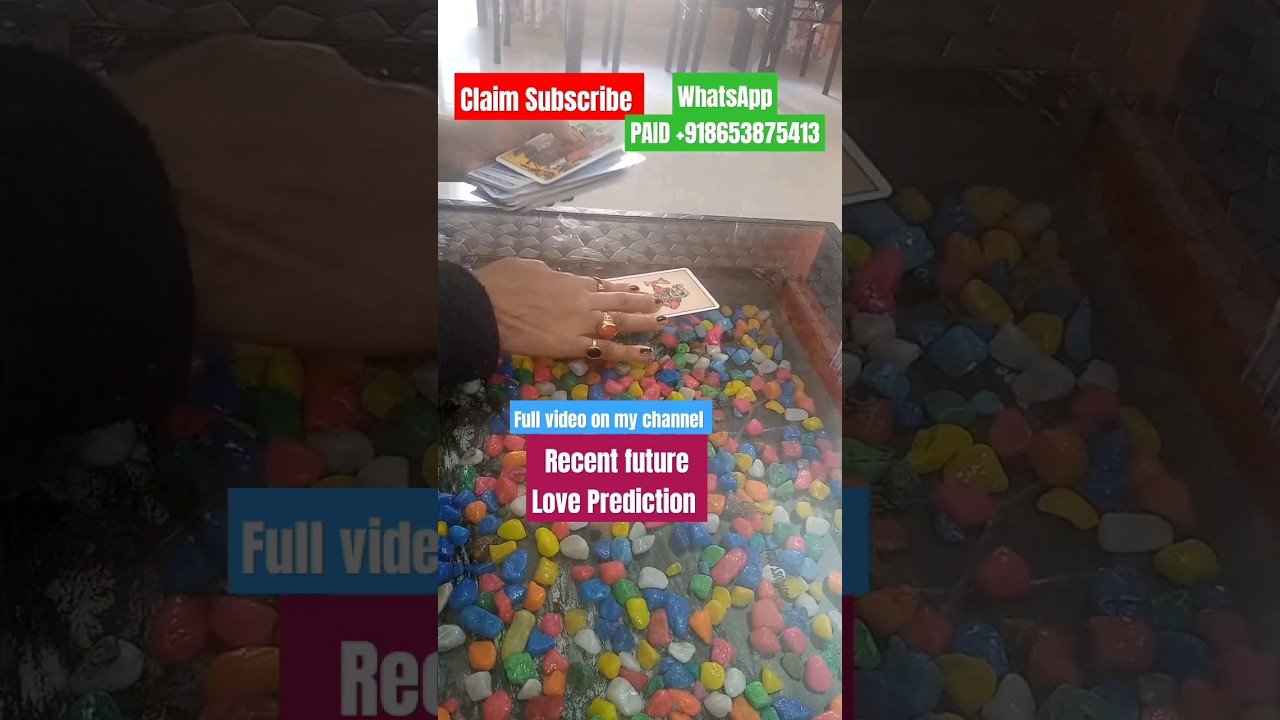 Leia mais sobre o artigo #partner #recent #future #currentfeelings #timeless #tarot #fortunetelling