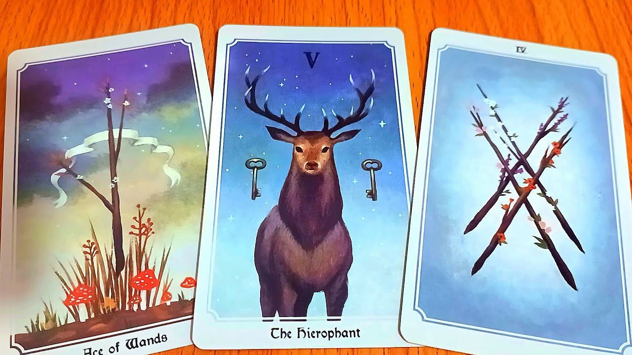 No momento, você está visualizando RỰC RỠ / TAROT READING