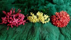 Leia mais sobre o artigo 3 PHƯỚC LÀNH “ĐẶC BIỆT” BẠN SẼ NHẬN ĐƯỢC TRONG THÁNG 3/2024 NÀY LÀ GÌ?  @EvelynTarot