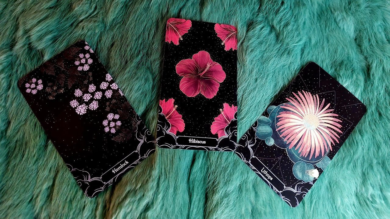 No momento, você está visualizando ĐIỀU GÌ ĐANG ÂM THẦM DIỄN RA MÀ BẠN CHƯA BIẾT ? @EvelynTarot