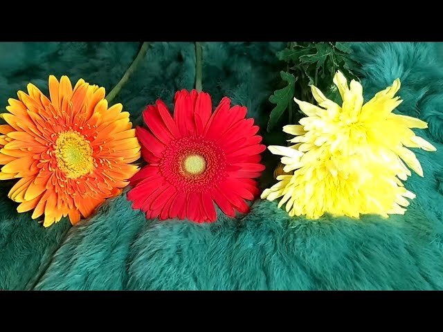 No momento, você está visualizando ĐIỀU GÌ SẼ ĐẾN VỚI BẠN TRONG 7 NGÀY TỚI (1/4-7/4/2024)? @EvelynTarot