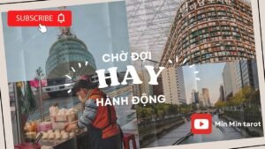 Leia mais sobre o artigo CHỌN 1 TỤ BÀI: CHỜ ĐỢI VÀ HÀNH ĐỘNG