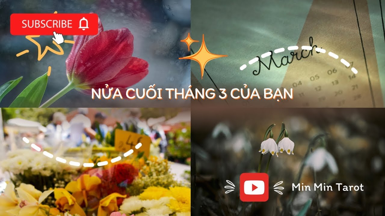 No momento, você está visualizando CHỌN 1 TỤ BÀI: NỬA CUỐI THÁNG 3 CỦA BẠN