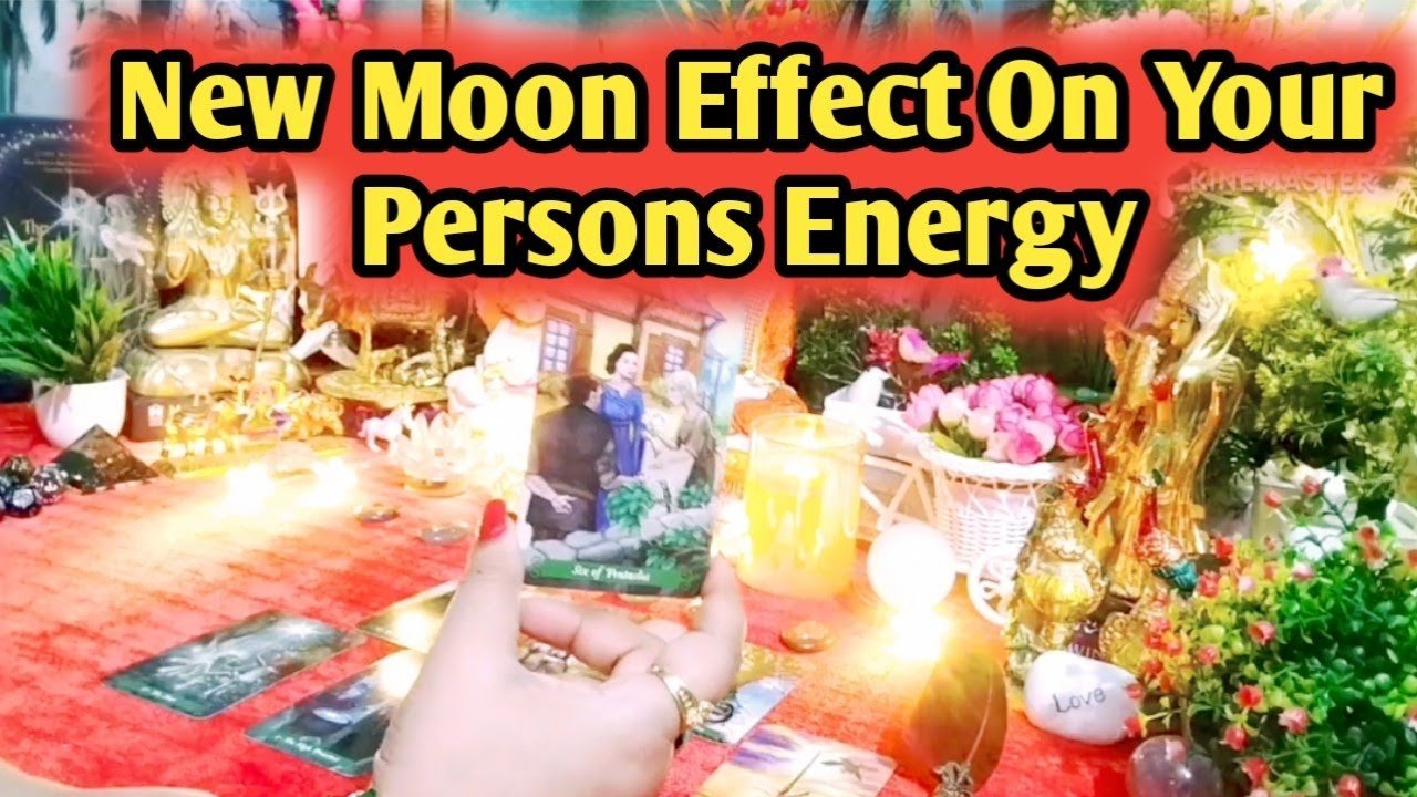 No momento, você está visualizando New Moon Effects 🌙 Messages From Your Love 🍁💭 Timeless Tarot🌈