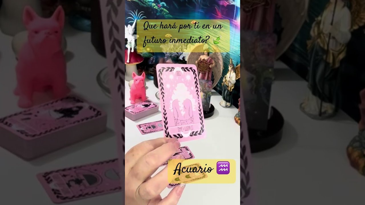 No momento, você está visualizando #tarot #amor #tarotreading #pareja #acuario #horoscopo #hoy #acuario #energias #destino
