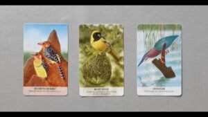 Leia mais sobre o artigo tarot: chọn tụ bài: linh vật kết nối với bạn. Vì sao?