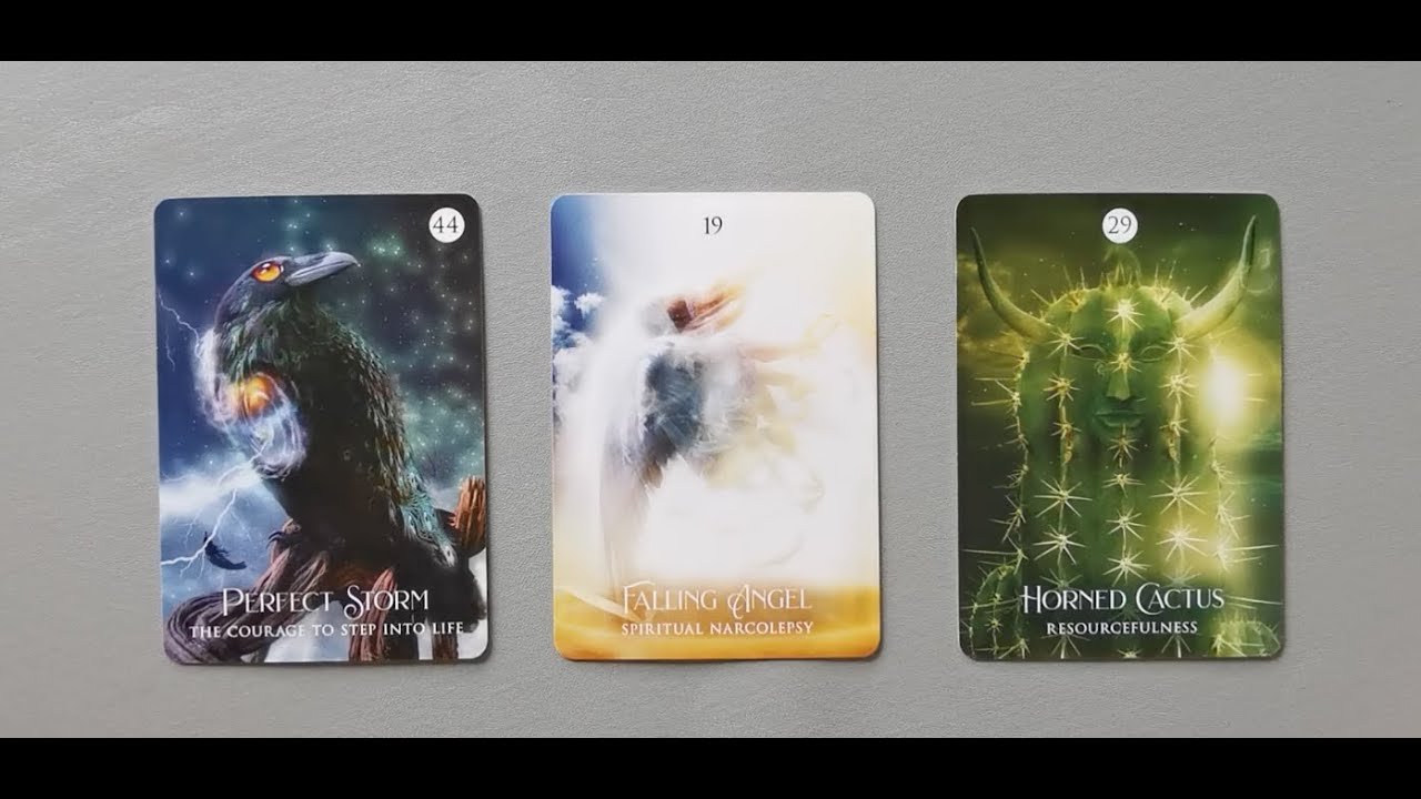 No momento, você está visualizando tarot: chọn tụ bài: khi ai đó thích hoặc ghét bạn. Họ có hành vi gì?